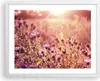 Gerahmtes Poster - Weißer Rahmen - Wiese Blumen Sonne - Produktbild-Vorschau 1