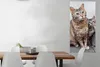 MuchoWow® Poster Katze - Kätzchen - Fell 60x120 cm - Produktbild-Vorschau 2