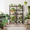 A balcony with a multi-tiered plant shelf filled with various plants, a chair, and a rug. Podgląd zdjęcia produktu
