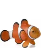 Mojo Fun Clown Fish, 3 Jahr(e), SEALIFE, Orange, Weiß, Produktbild-Vorschau 8