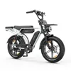 PIXAR M9 E-Bike 48V 17,5Ah Akku (100km), 250W Heckmotor, Produktbild-Vorschau 15