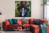 MuchoWow® Poster Nahaufnahme eines Kasuars 100x100 cm - Produktbild-Vorschau 2