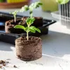 MIKONI Tabletki kokosowe do namaczania, Ø 36 mm, podłoże do Podgląd zdjęcia produktu 3
