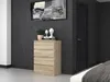 Topeshop M4 SONOMA Kommode Produktbild-Vorschau 10