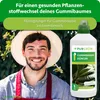 Purgrün Gummibaum-Dünger 1 Liter Produktbild-Vorschau 2