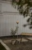 Große Solar-Fackel ,Olympos' aus Edelstahl, Gartenspieß mit Produktbild-Vorschau 8