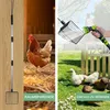 A collage showing a metal litter scoop with an extendable handle and chickens in a yard with a hose. Produktbild-Vorschau