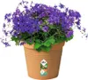 elho green basics Anzuchttopf 27cm - mild tonrot Produktbild-Vorschau 5