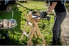 Metabo Sägekette 15 cm (1/4 / 1,1 mm) Produktbild-Vorschau 3