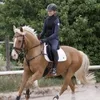 Waldhausen Safety Rein Vorderzeug  Cob / Full  Cob / Full Produktbild-Vorschau 8