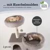 Lycce Kratzbaum groß, mehrstöckiger Katzenbaum inkl. 10 Produktbild-Vorschau 9