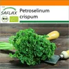 SAFLAX Garden in the bag - BIO – kadeřavá petržel - Náhled obrázku produktu 10