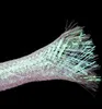 INF Lacets scintillants 1 paire Or Voir les images du produit 3