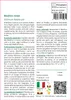 SAFLAX  - Basilico rosso  - 200 semi - Ocimum Anteprima dell’immagine prodotto 3