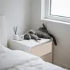 A cat is lying on its back on a nightstand next to a window. Produktbild-Vorschau