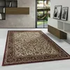 Carpetsale24 Tapis Oriental Classique pour Salon avec Motif Voir les images du produit 1