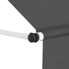 vidaXL Tenda a scomparsa manuale 250 cm antracite - Tende Anteprima dell’immagine prodotto 3