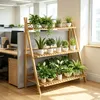 FATIVO, scala per piante in bambù, 3 livelli, scaffale Anteprima dell’immagine prodotto 15