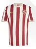 adidas Originals 1. FC Nürnberg 125th Anniversary Special Produktbild-Vorschau 1