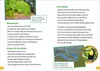WAS IST WAS Erstes Lesen Band 6. Wald Produktbild-Vorschau 3