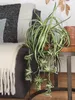 Mica Decorations Chlorophytum Kunstpflanze im Blumentopf Produktbild-Vorschau 2
