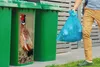 MuchoWow® Mülltonnenaufkleber Fasan - Nahrung - Vogel 38x80 Produktbild-Vorschau 4