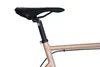 WYNN Gravel Bike 28 Zoll GRL5.0 gold Rahmenhöhe 54 cm 14 Produktbild-Vorschau 7