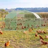 FIVMEN Kurník 3x4 m Klec pro slepice Volný výběh Kurník z Náhled obrázku produktu 9