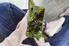 MuchoWow® Handyhülle Schutzhülle Hülle für Samsung Galaxy Produktbild-Vorschau 3