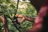 Fiskars P721 Plus™ Powerlever™ Nůžky Zahradní Dvoučepelové Náhled obrázku produktu 6