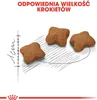 Royal Canin Kitten Sterilised 400gr Produktbild-Vorschau 2