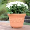 A terracotta pot with white flowers sits on a wooden table outdoors. Náhľad obrázku produktu