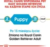 ROYAL CANIN Golden Retriever Junior - Welpe - Golden Produktbild-Vorschau 8