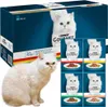 A box of Gourmet cat food with individual pouches displayed, and a cat sitting in front. Anteprima dell’immagine prodotto