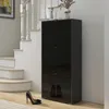 HOMCOM Meuble à Chaussures Armoire à chaussures 3 Portes Voir les images du produit 2