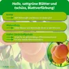 Purgrün -Aprikosenbaum-Dünger 1 kg Produktbild-Vorschau 3