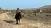 Red Dead Redemption  Spiel für Nintendo Switch  UK Produktbild-Vorschau 9