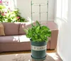 Podpora pierścieniowa do roślin kwiatów 60 cm stelaż Podgląd zdjęcia produktu 7