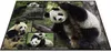 WWF Puzzle Pandas (1000 Teile) Pandabär Puzzel Bär Produktbild-Vorschau 2