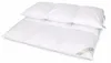 Betten Hofmann Winter Daunenbett Daunendecke Bettdecke 3x4 Produktbild-Vorschau 3