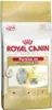 Royal Canin Persian 4 kg Produktbild-Vorschau 1