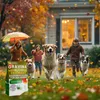 Semi da prato EcoDeco 5 kg per 200 m² - Semina autunnale Anteprima dell’immagine prodotto 7