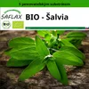 SAFLAX - BIO - Šalvia - Salvia officinalis - 60 Semená - S Náhľad obrázku produktu 11