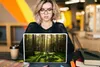 MuchoWow® Laptop Aufkleber Sticker Cover Bäume - Wald - Produktbild-Vorschau 5