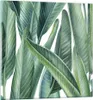 Bilder auf glas - Einteilig - Exotisch Blätter Grün - Produktbild-Vorschau 1