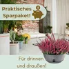 2er Set Pflanzschale Blumenschale Pflanzschalen für Produktbild-Vorschau 6