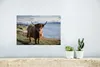 MuchoWow® Poster Schottisches Hochlandrind - Licht - Wasser Produktbild-Vorschau 5