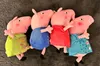 Peppa Pig grün Kuscheltier Peppa Wutz Plüschtier XXL 30 cm Produktbild-Vorschau 4