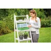 Gewächshaus M 38 x 24 x 19 cm mit Belüftung Produktbild-Vorschau 4