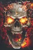 Spiral T-Shirt Herren Skull Blast schwarz M Produktbild-Vorschau 3